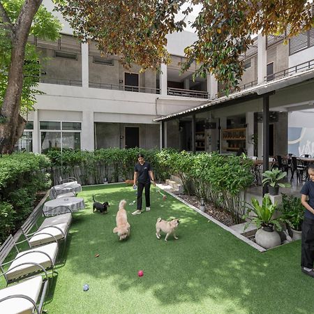 Ketawa Pet Friendly Hotel Chiang Mai Ngoại thất bức ảnh