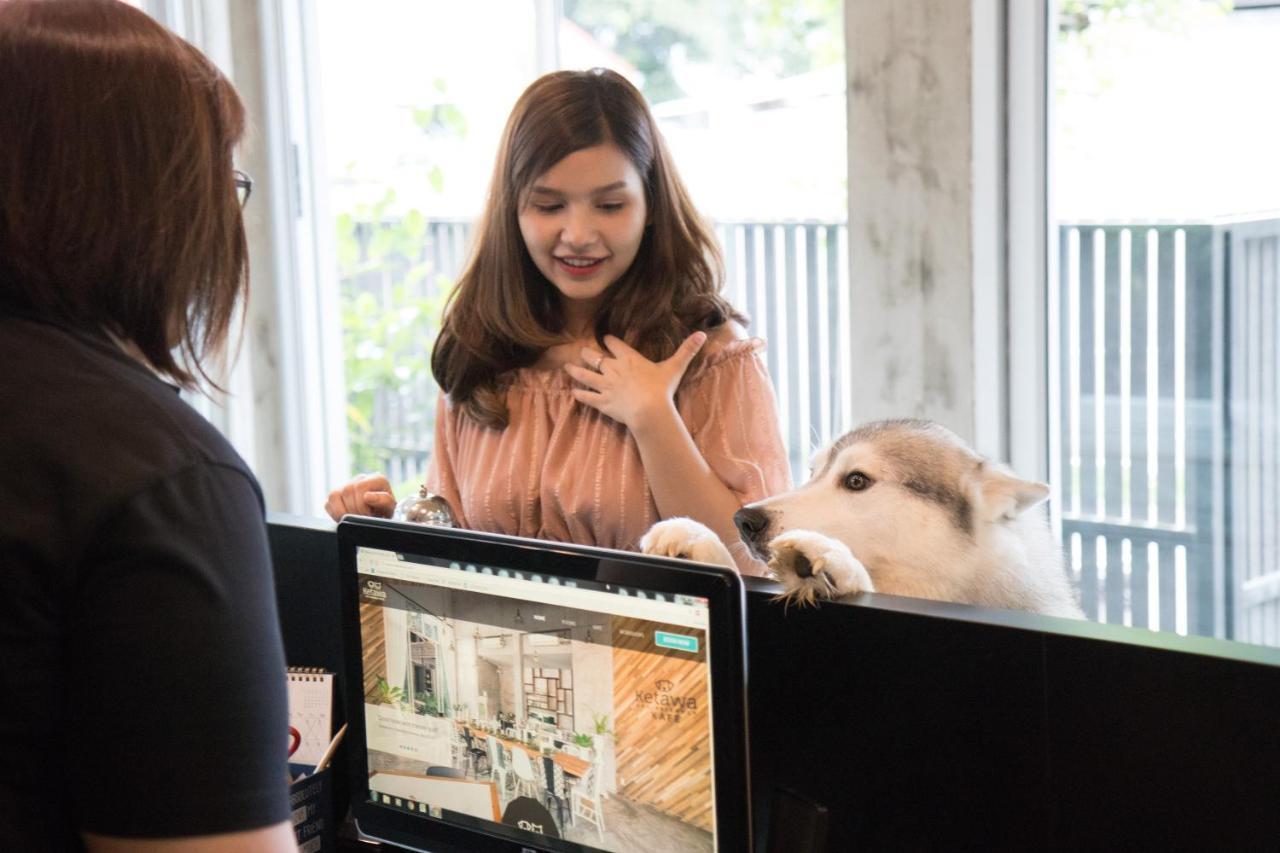 Ketawa Pet Friendly Hotel Chiang Mai Ngoại thất bức ảnh
