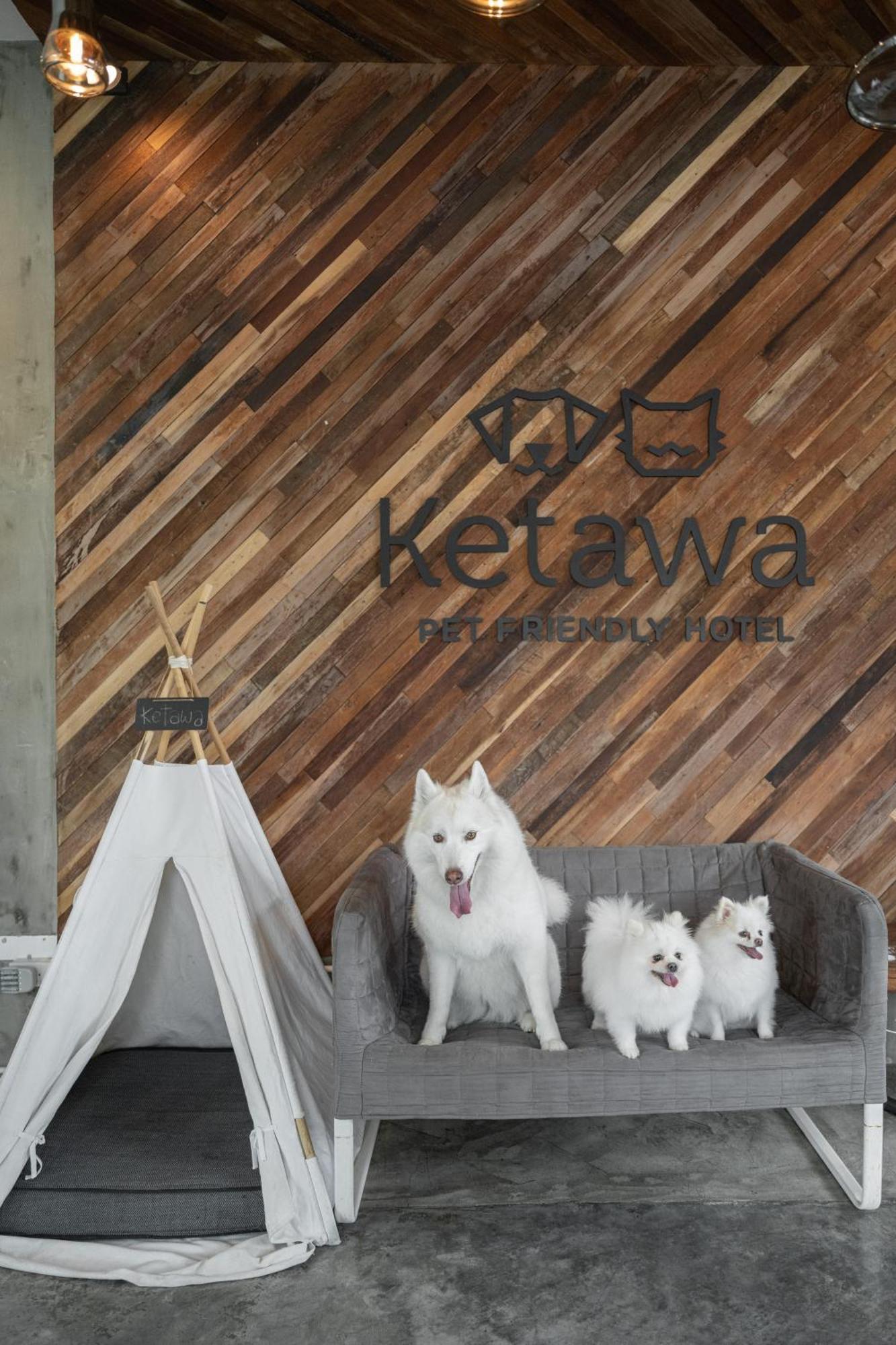 Ketawa Pet Friendly Hotel Chiang Mai Ngoại thất bức ảnh