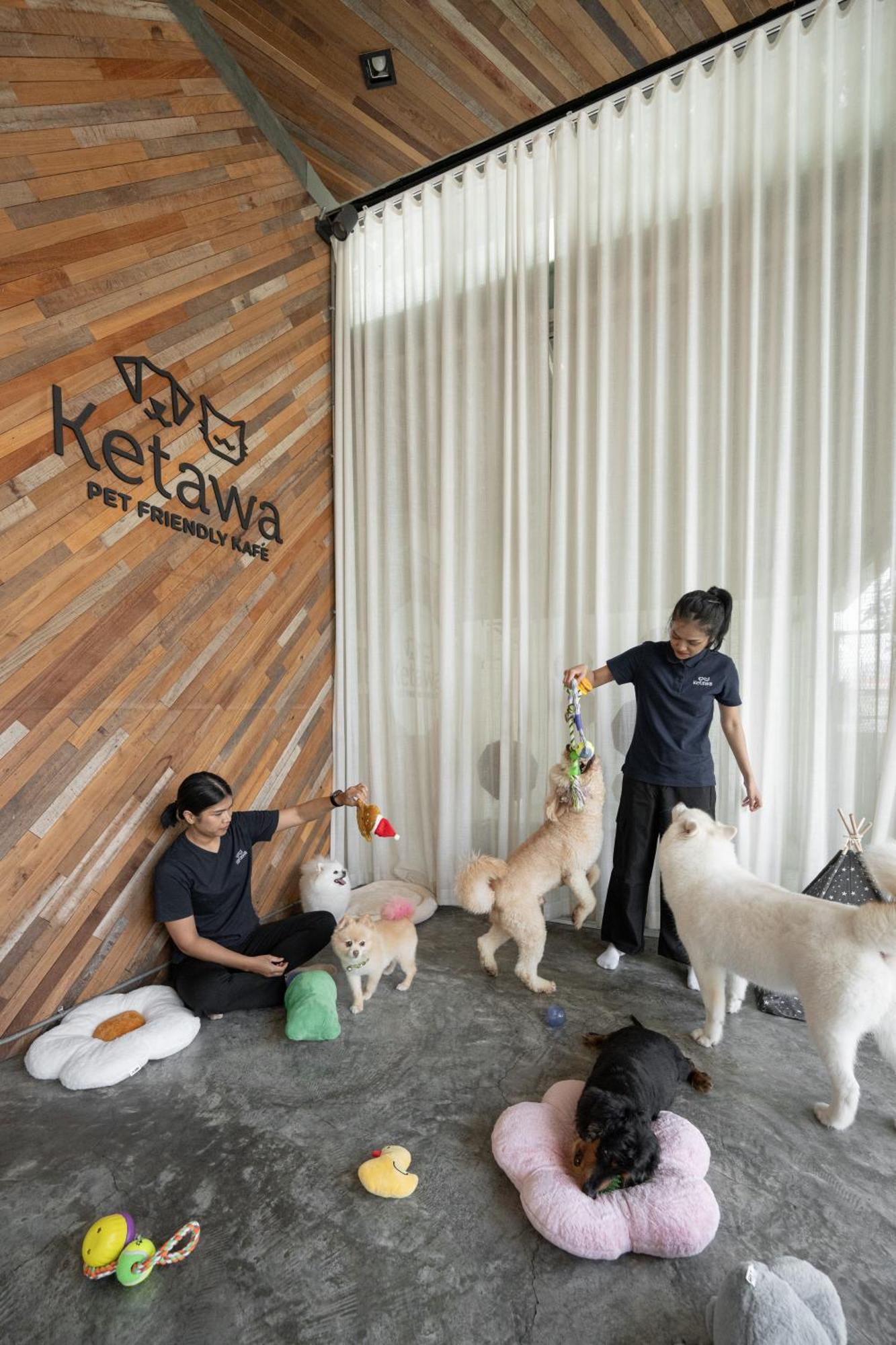 Ketawa Pet Friendly Hotel Chiang Mai Ngoại thất bức ảnh