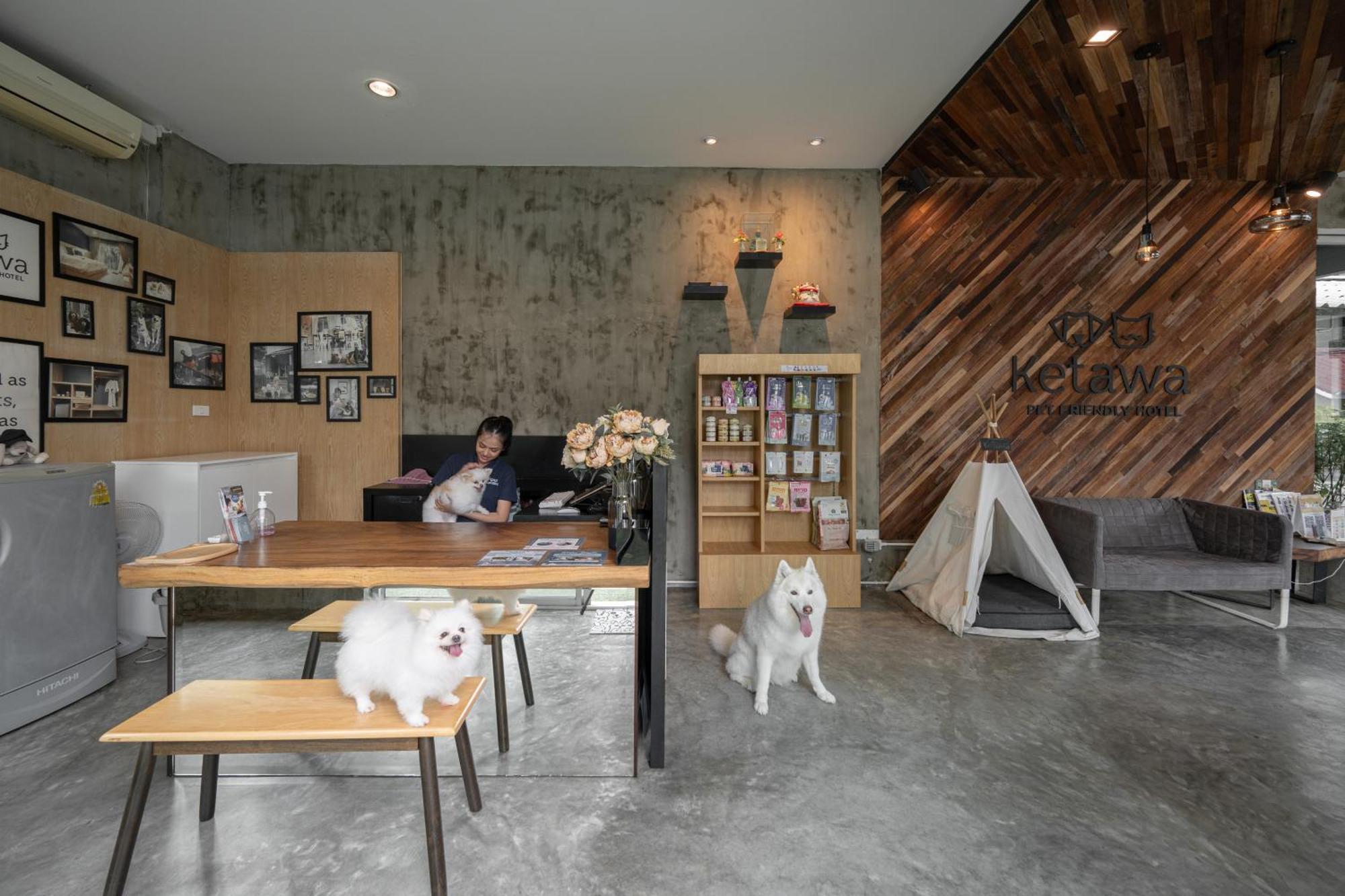 Ketawa Pet Friendly Hotel Chiang Mai Ngoại thất bức ảnh